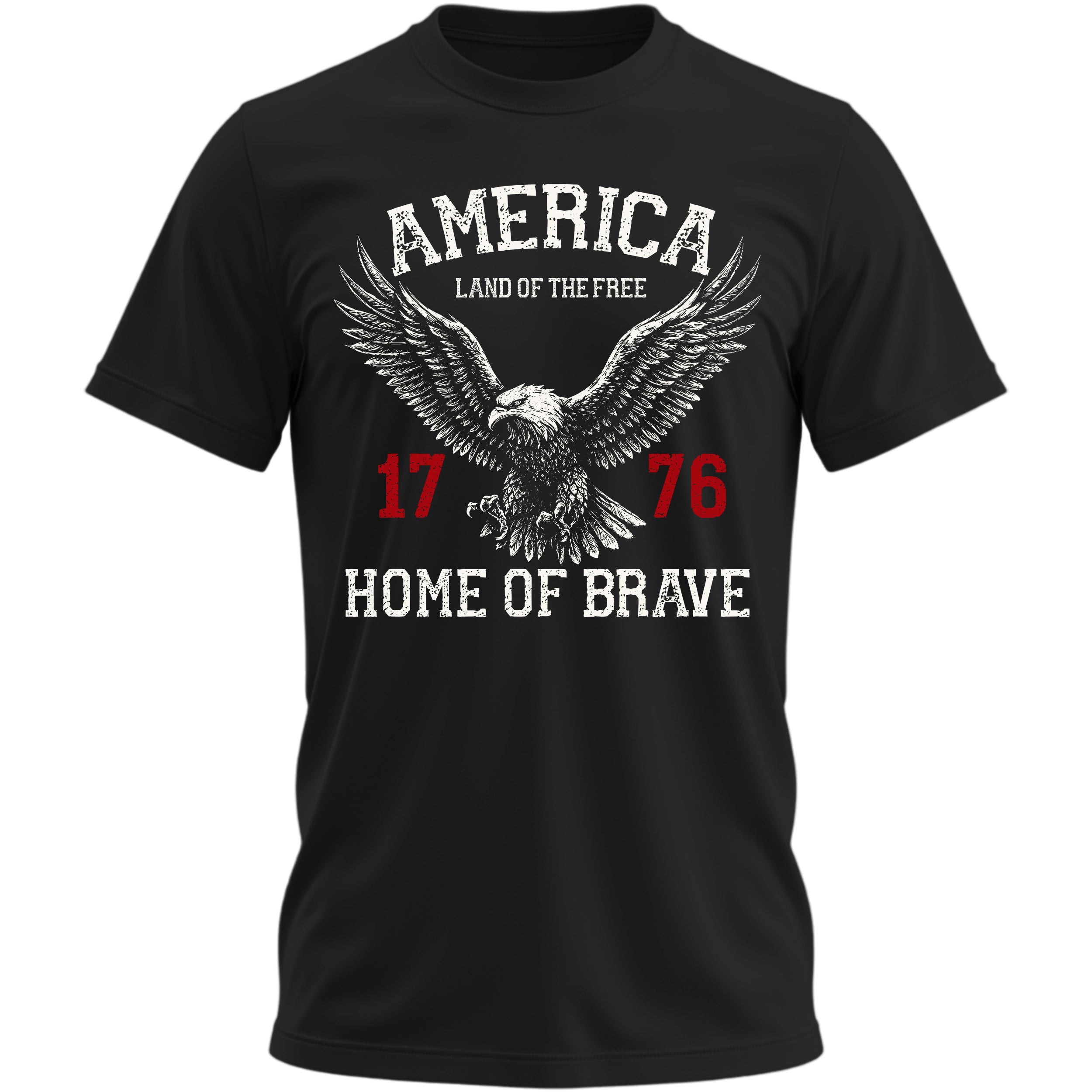 AMERICA LAND OF THE FREE HOME OF THE BRAVE