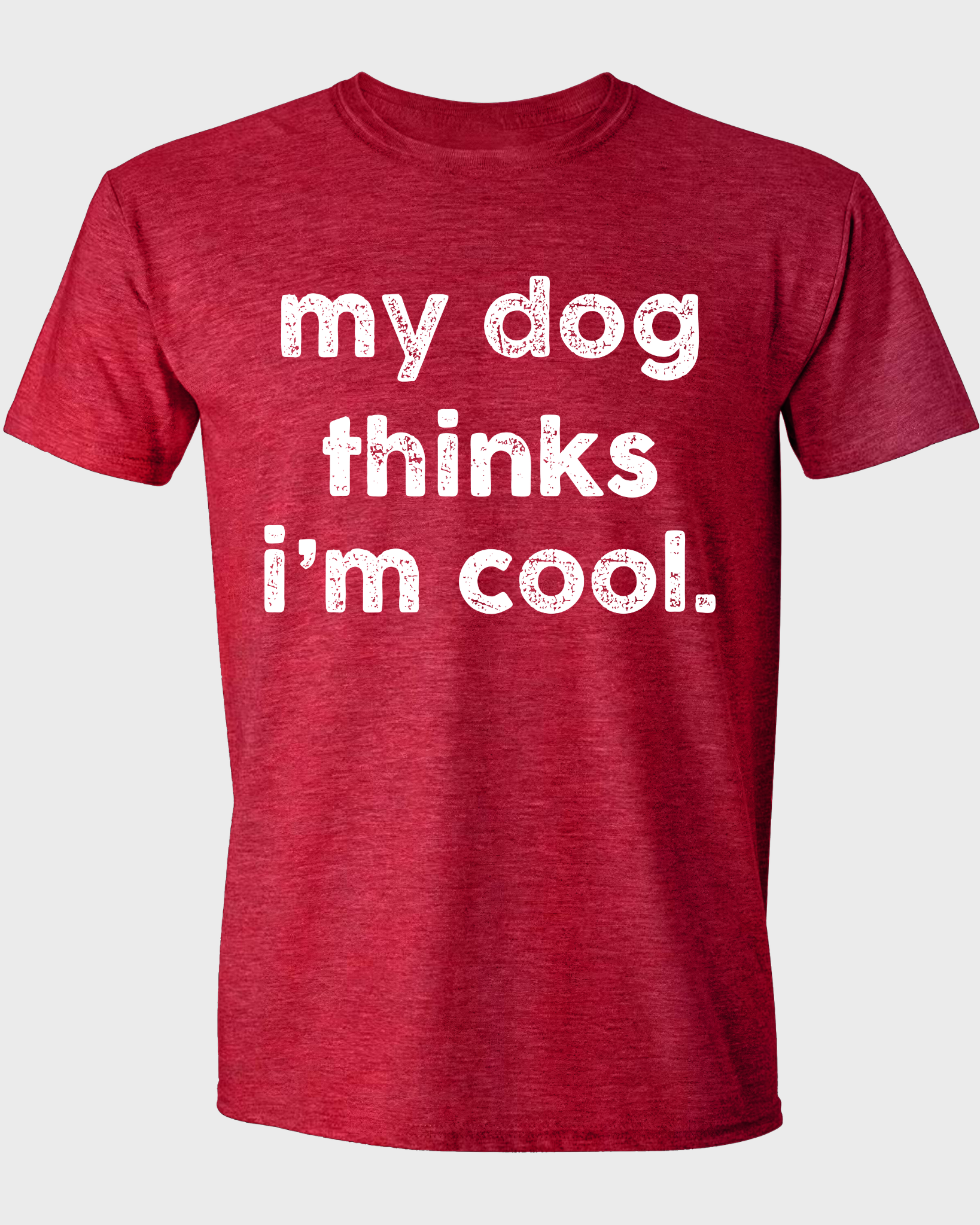 MY DOG THINKS I'M COOL