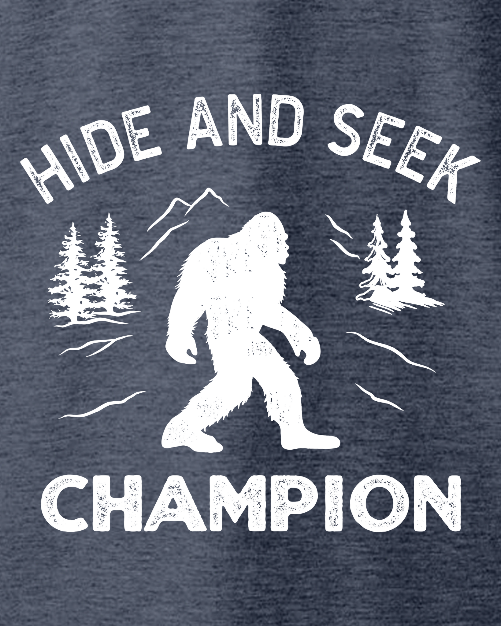 Hide and Seek Champion T-shirt