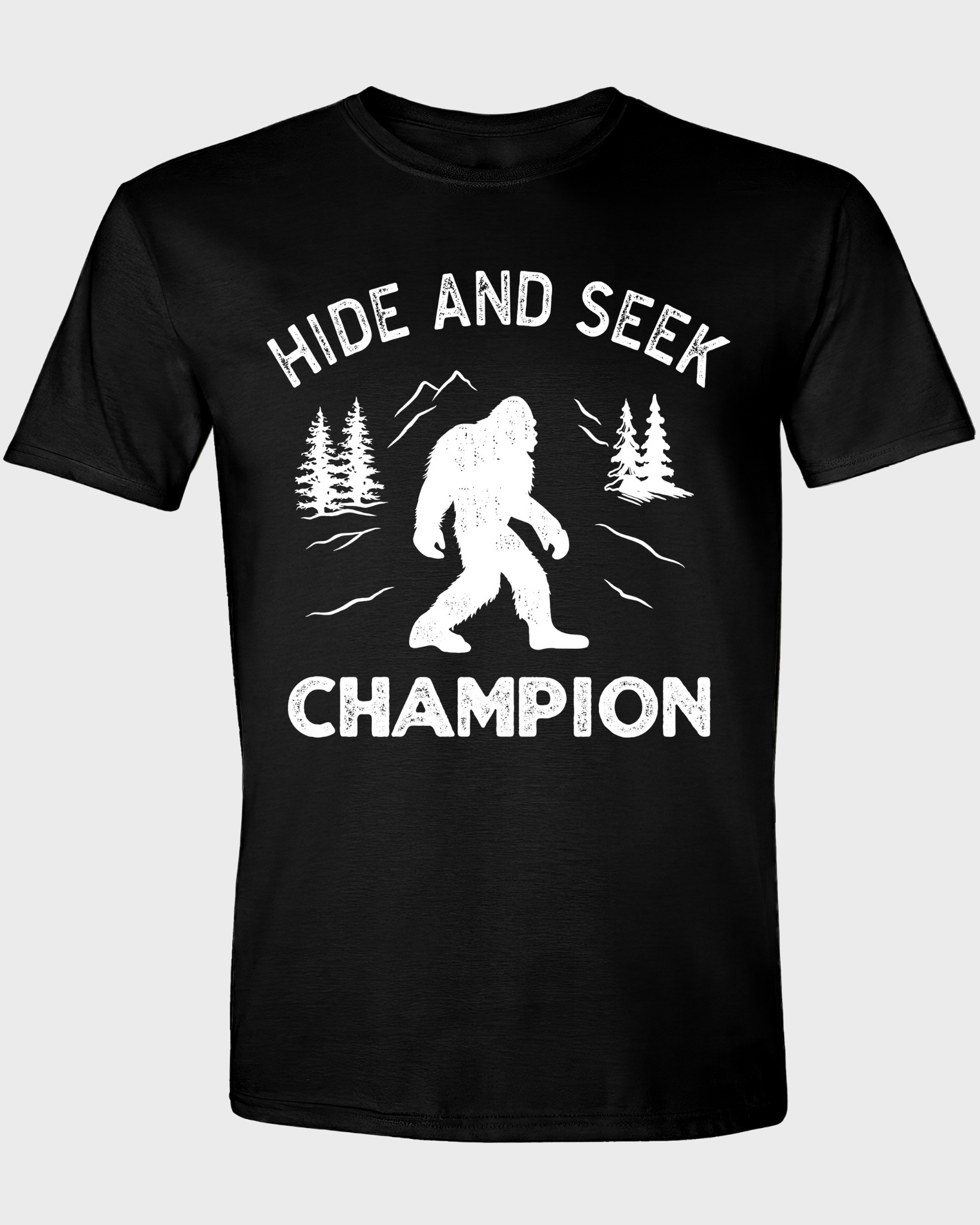 Hide and Seek Champion T-shirt