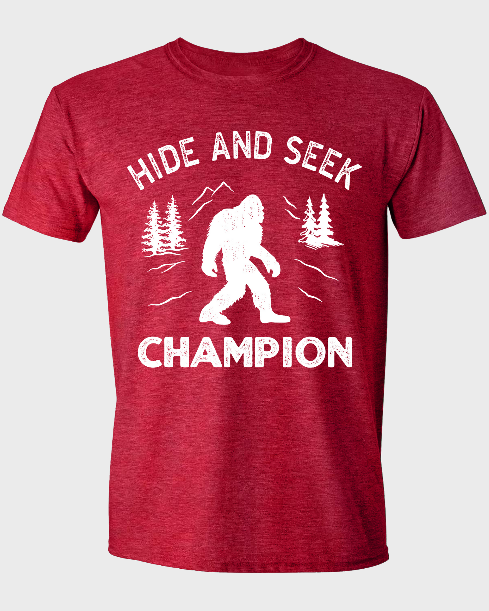 Hide and Seek Champion T-shirt