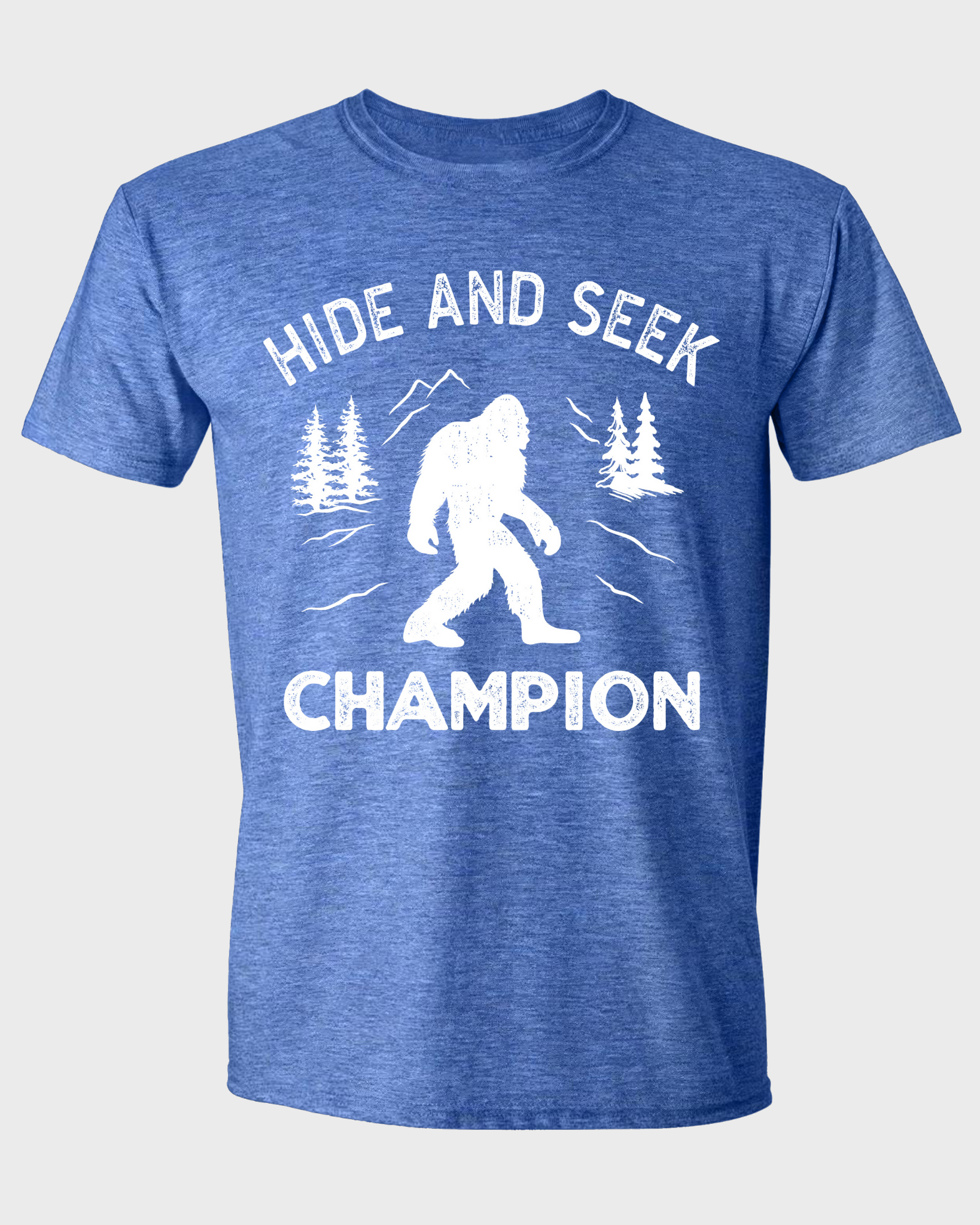 Hide and Seek Champion T-shirt