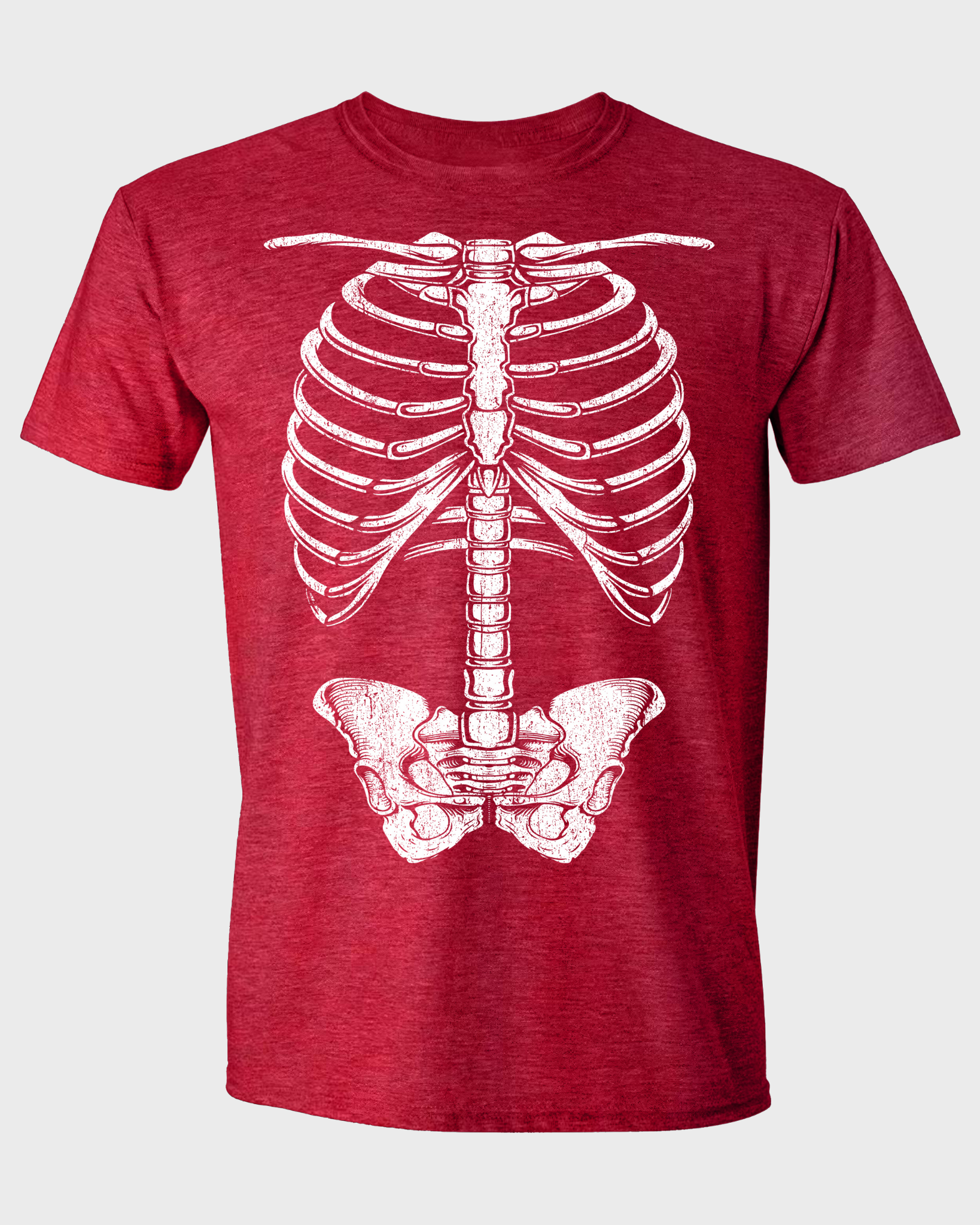 HUMAN SKELETON