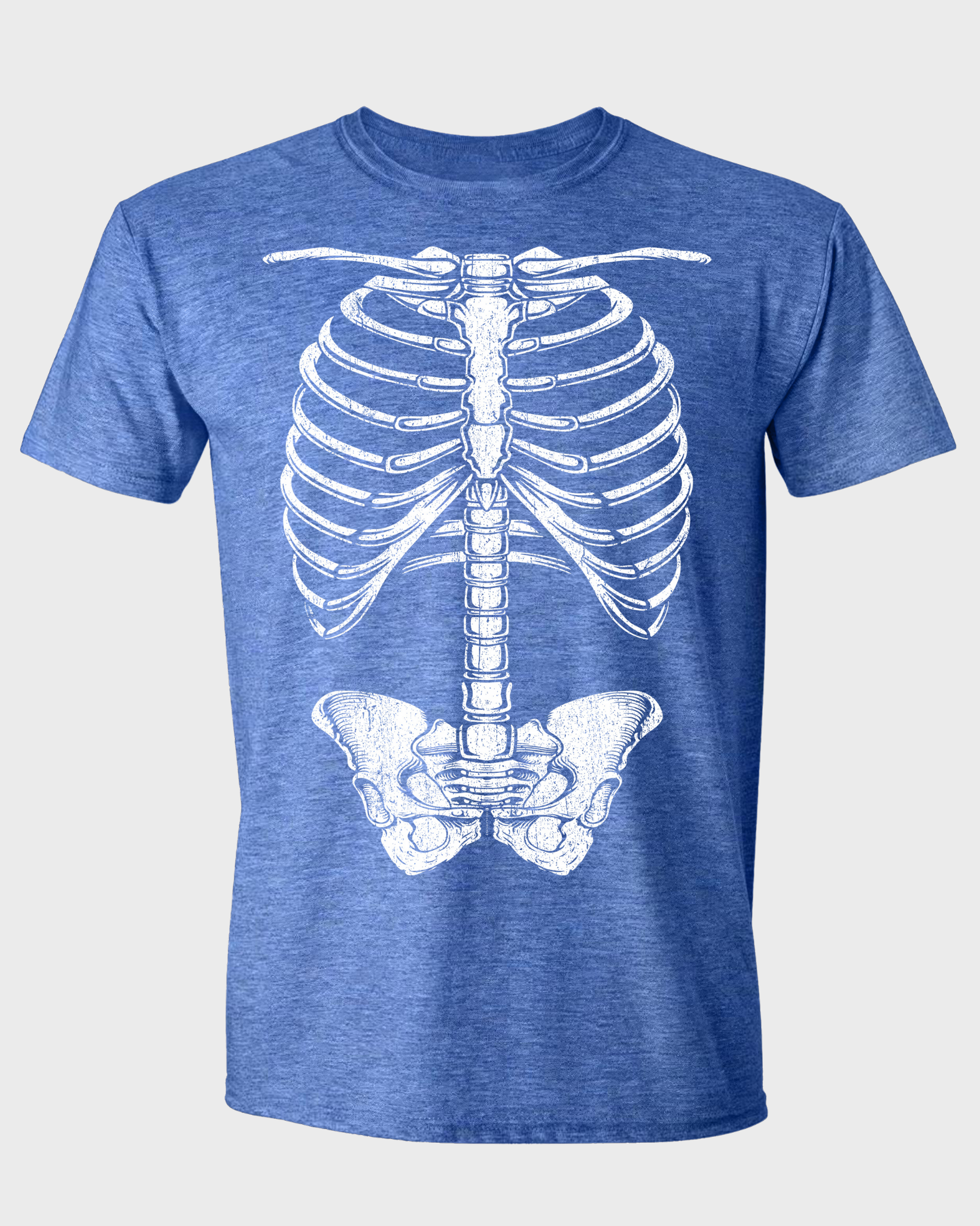 HUMAN SKELETON