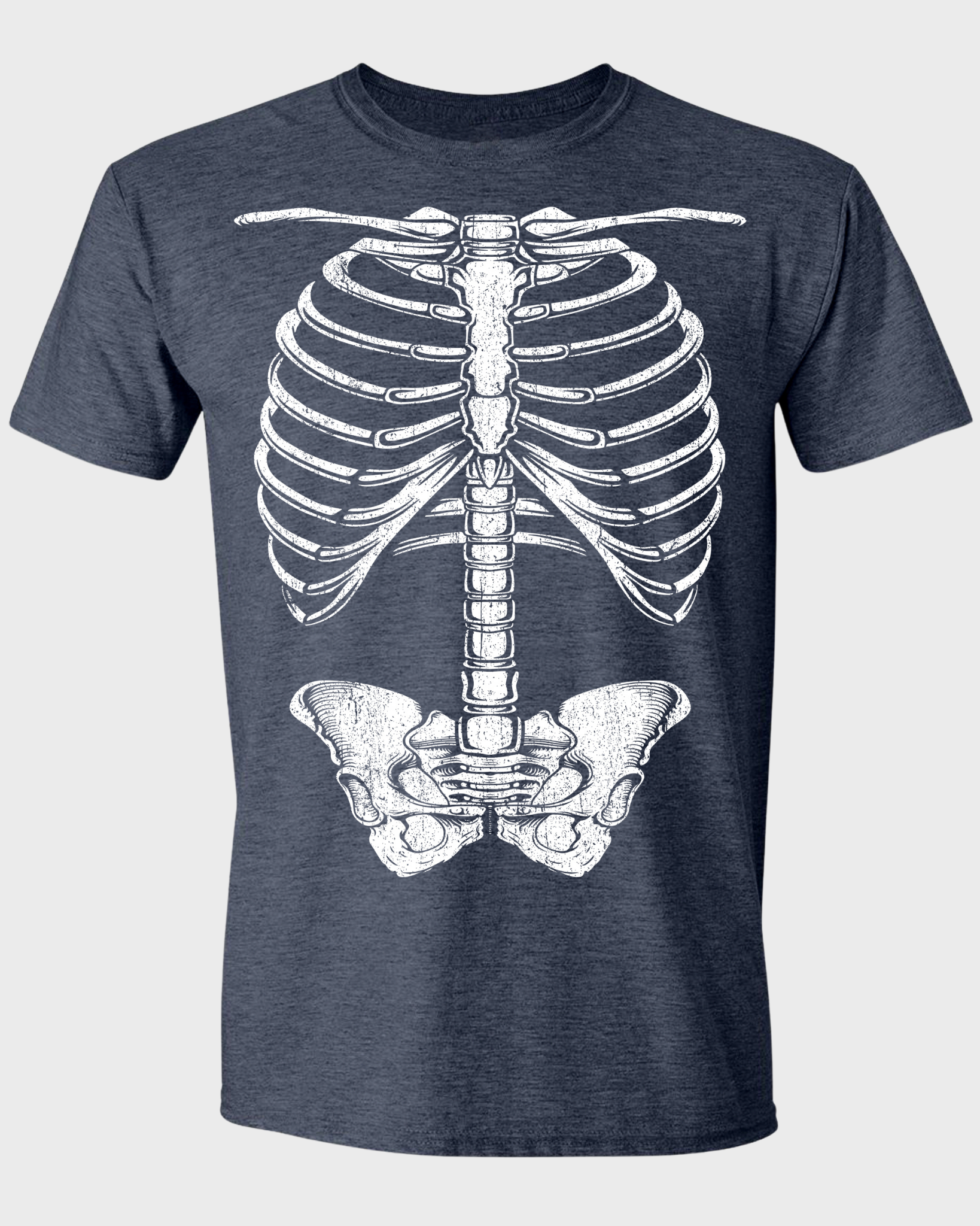 HUMAN SKELETON