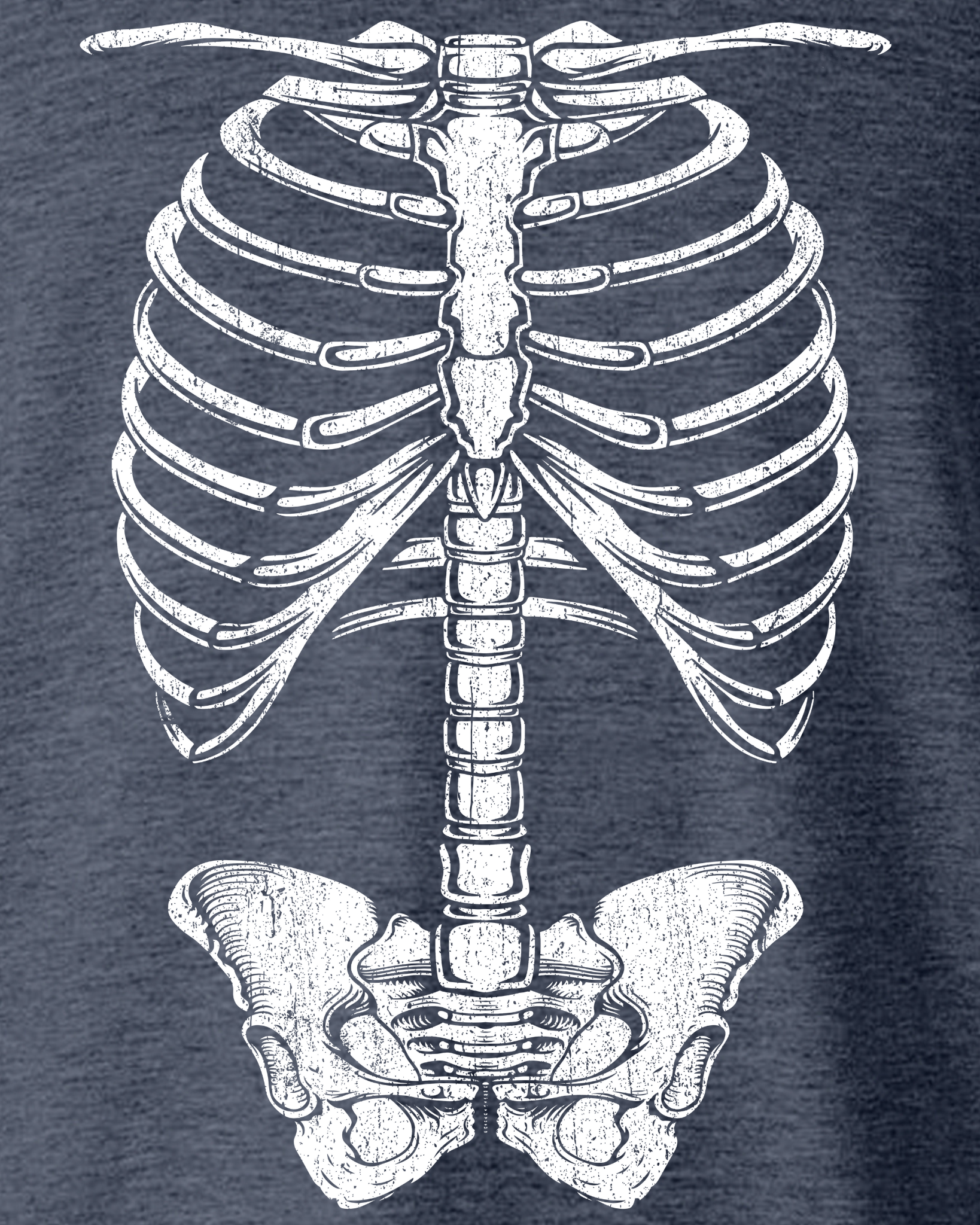 HUMAN SKELETON