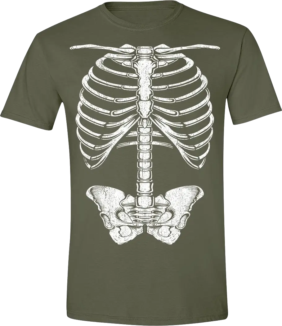 Human Skeleton