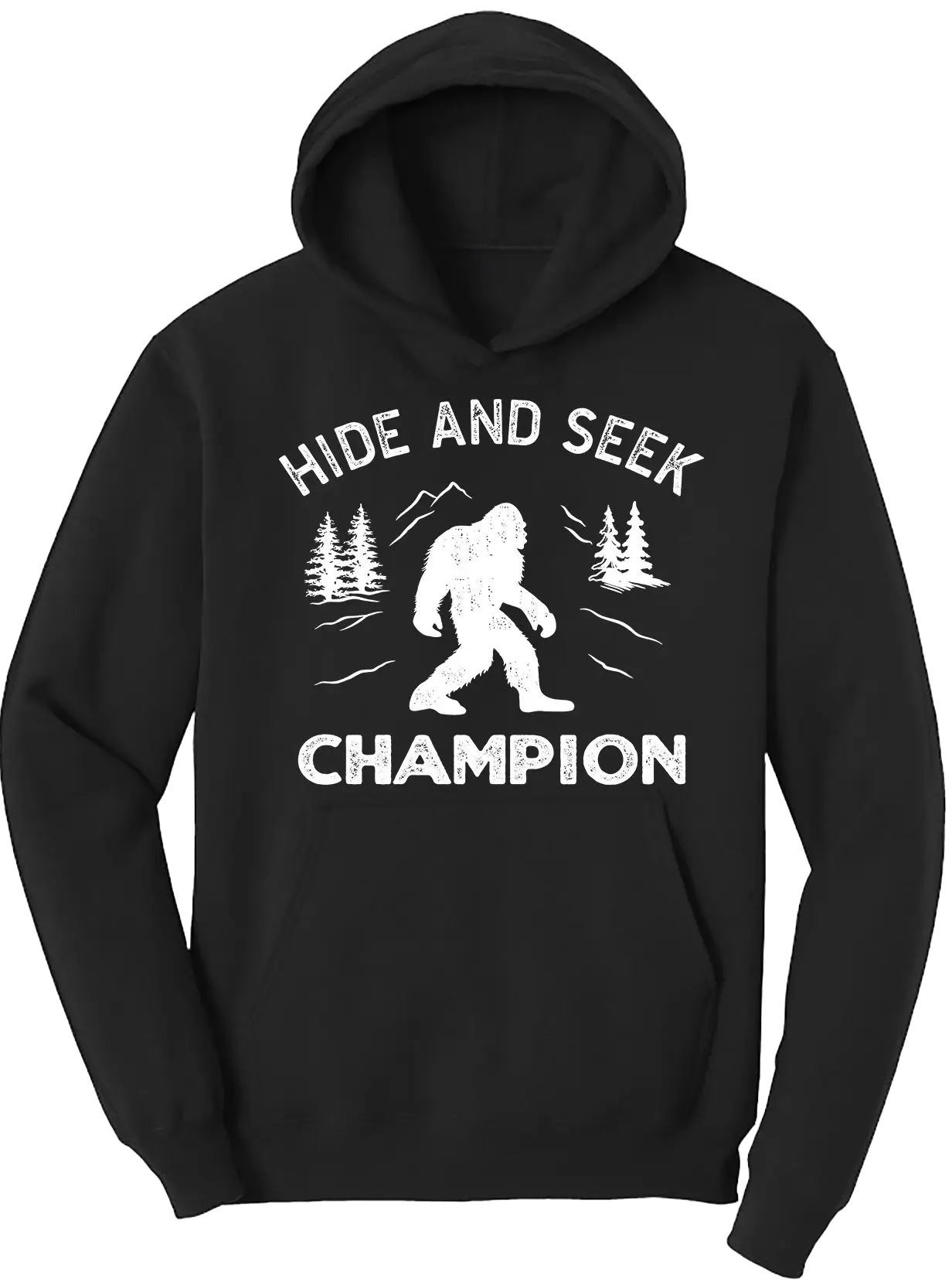 Hide and seek champion