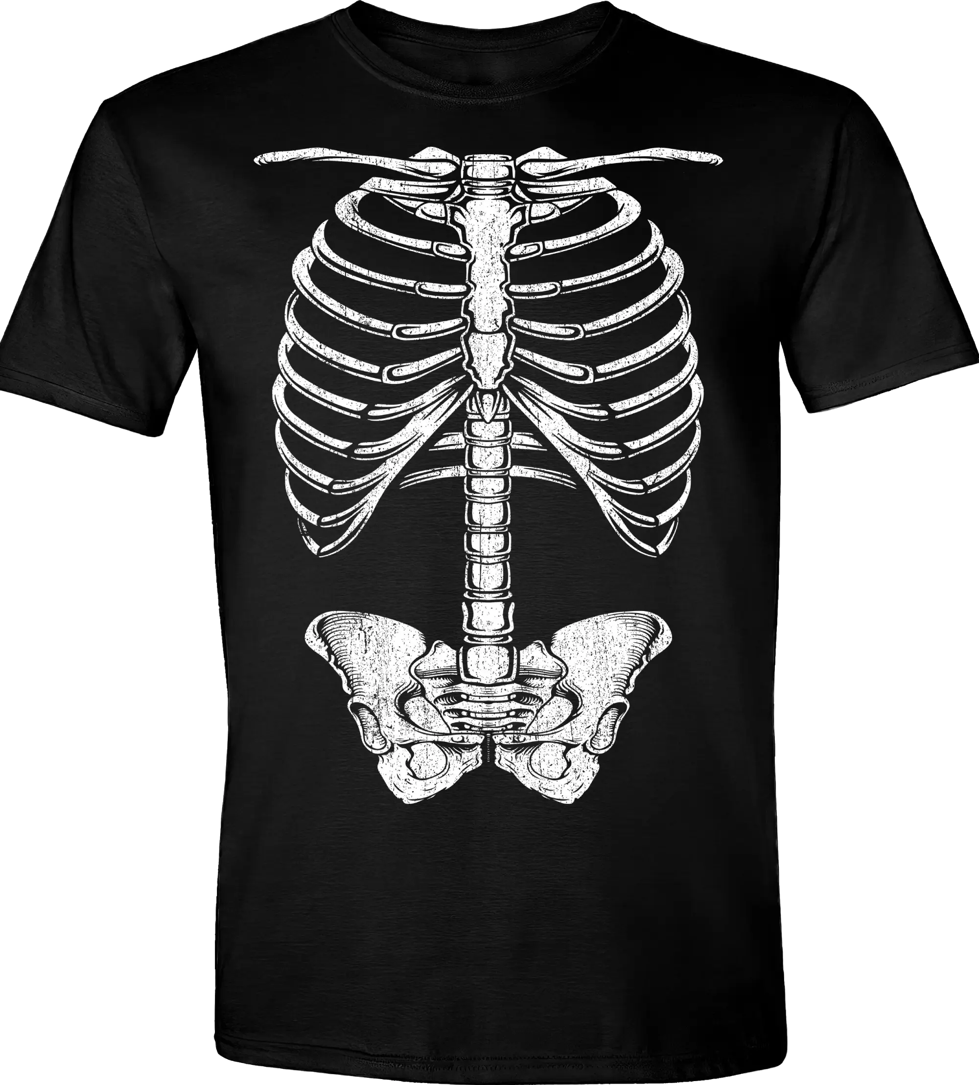 Human Skeleton